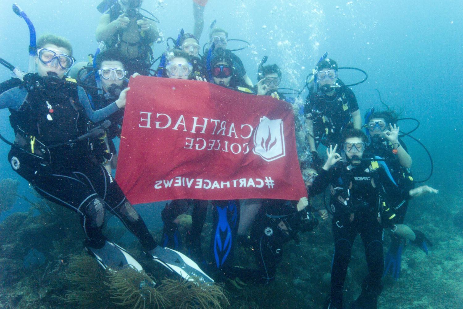 学生们手持<a href='http://534.hwanfei.com'>bv伟德ios下载</a>旗帜，在j学期洪都拉斯游学之旅中潜水.